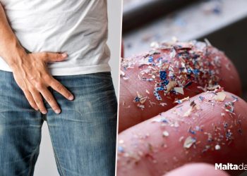 microplastics were initially found in human penises, after human testicles.