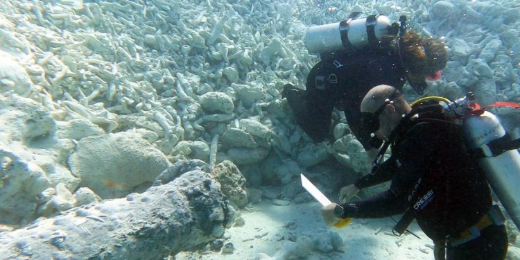 Researchers in the Bahamas are shocked to find Russian cannons. How did they get to that location?